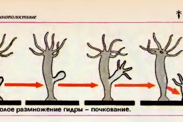 Как вернуть деньги с кракена