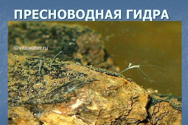 Кракен сайт kraken2