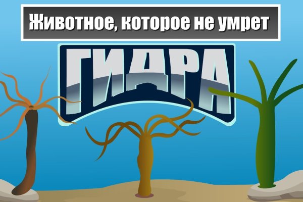 Магазин кракен дарк