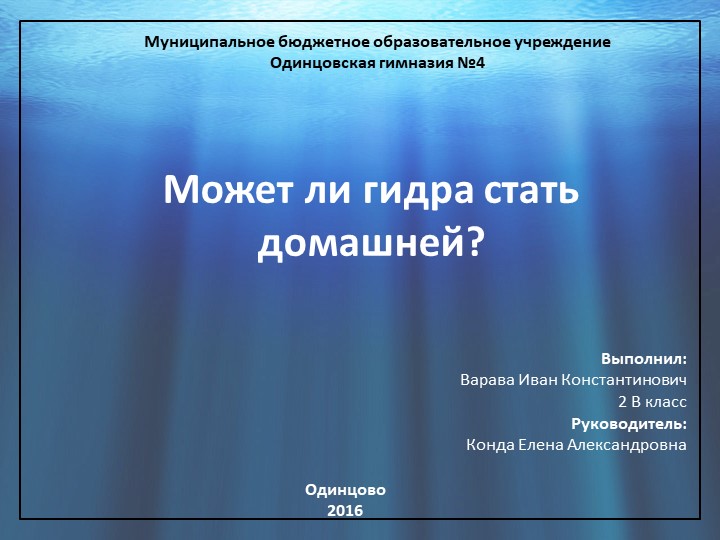 Кракен зеркало сайта vtor run