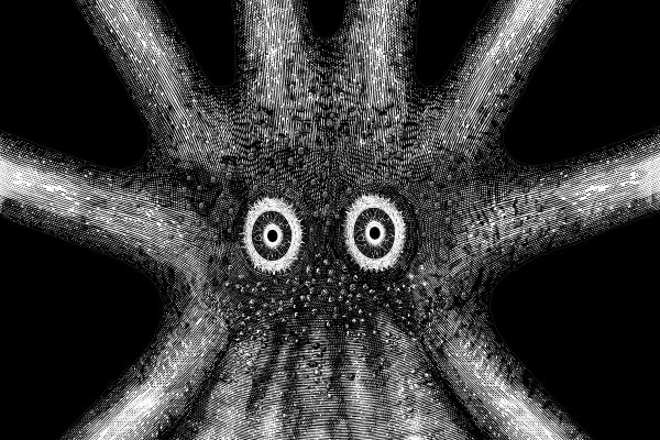 Kraken 5 at